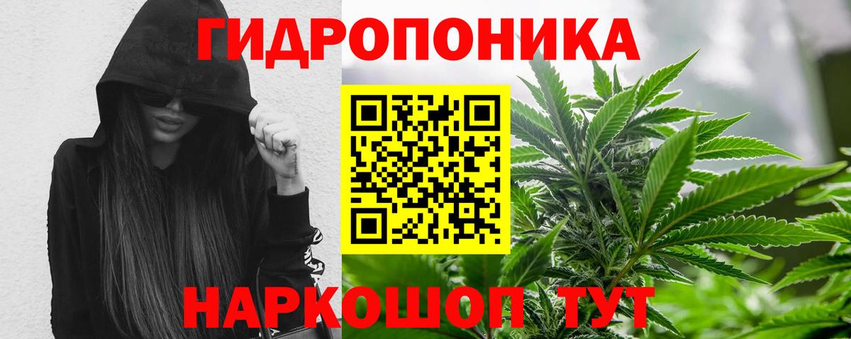 Марихуана Ganja  Каннабис ГИДРОПОН  Скопин  Вход с VPN 